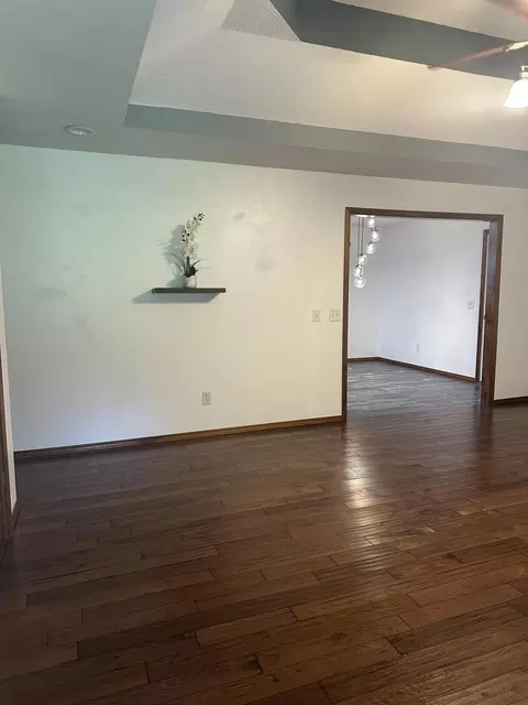 Living - 48 Drop Tine Dr, Strafford, MO 65757 photo 4 of 5