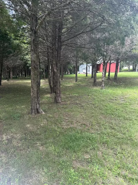 Exterior - 48 Drop Tine Dr, Strafford, MO 65757 photo 12 of 15