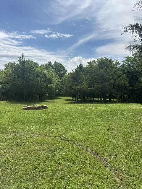 Exterior - 48 Drop Tine Dr, Strafford, MO 65757 photo 14 of 15