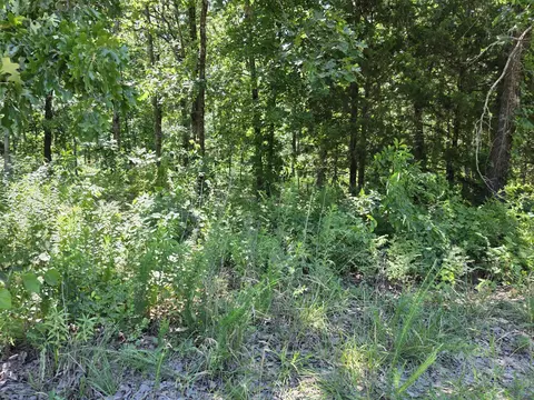 000 Hidden Pond Dr #36, Fordland, MO 65652