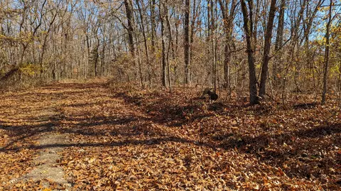 000 Deerfoot Trl, Cape Fair, MO 65624