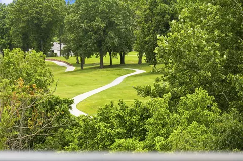 Other - 1952 Pointe Royale Dr, Branson, MO 65616 photo 18 of 30