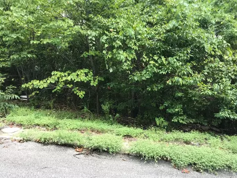 lot256 Skylee Dr, Hollister, MO 65672