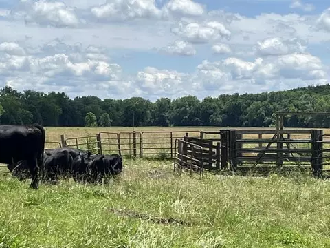 000 W Wilhite Rd, Columbia, MO 65202