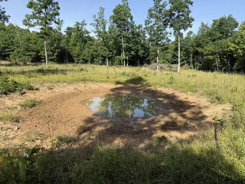 000 County Road Ff-459, Birch Tree, MO 65438 photo 22