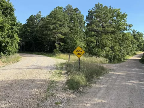 000 County Road Ff-459, Birch Tree, MO 65438 photo 20
