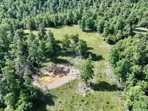 000 County Road Ff-459, Birch Tree, MO 65438 photo 38