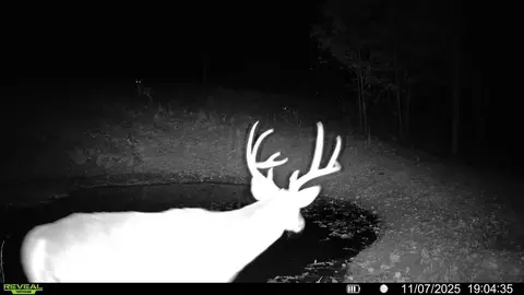 000 County Road Ff-459, Birch Tree, MO 65438 photo 30