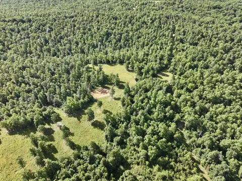 000 County Road Ff-459, Birch Tree, MO 65438 photo 37