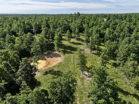 000 County Road Ff-459, Birch Tree, MO 65438 photo 2