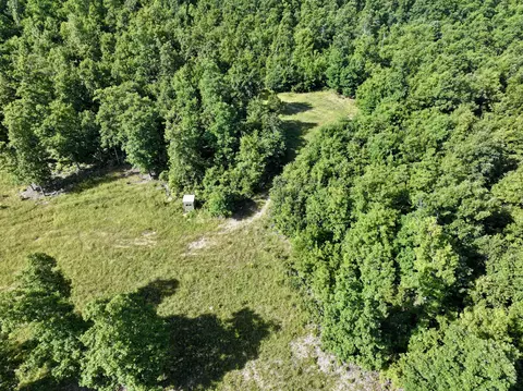 000 County Road Ff-459, Birch Tree, MO 65438 photo 5