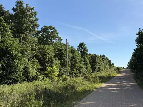 000 County Road Ff-459, Birch Tree, MO 65438 photo 53