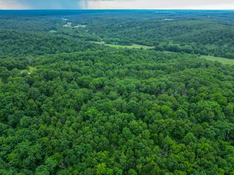 000 White Oak Rd, Tunas, MO 65764 photo 5