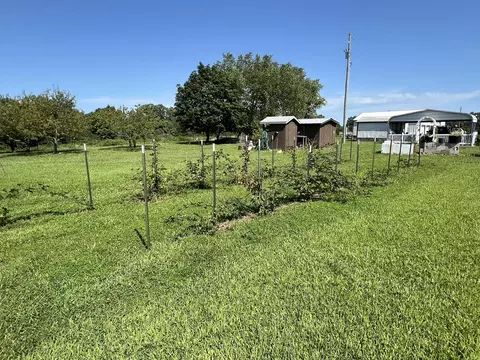Exterior - 2717 Chestnut Dr, Cabool, MO 65689 photo 13 of 19
