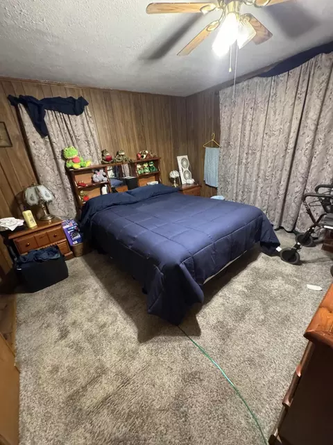 Other - 2717 Chestnut Dr, Cabool, MO 65689 photo 4 of 9