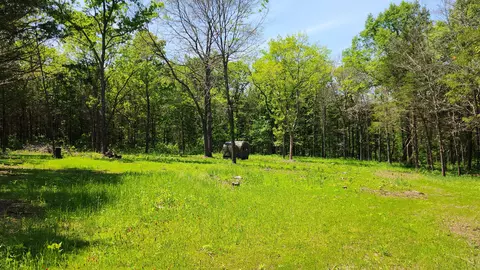 000 County Road 333, Polk, MO 65727