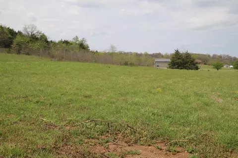 000 River Pass Dr #LOT 6, Marshfield, MO 65706 photo 8