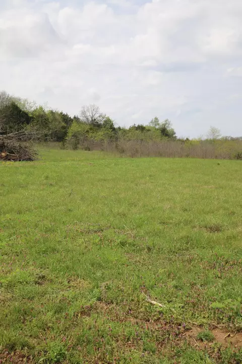 000 River Pass Dr #LOT 6, Marshfield, MO 65706 photo 9