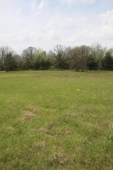 000 River Pass Dr #LOT 6, Marshfield, MO 65706 photo 6