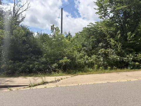 000 Ward St, Birch Tree, MO 65438 photo 4