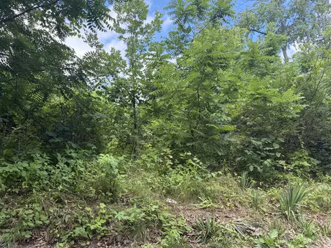 000 Ward St, Birch Tree, MO 65438 photo 11