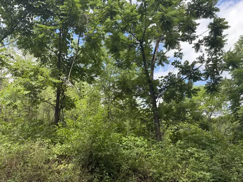 000 Ward St, Birch Tree, MO 65438 photo 9