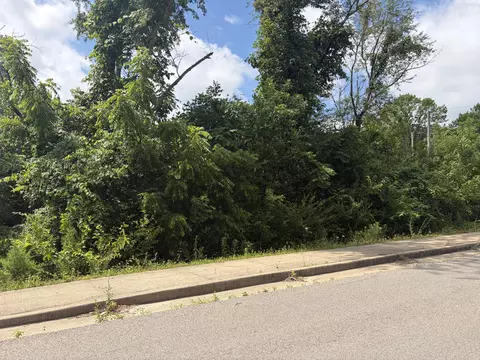 000 Ward St, Birch Tree, MO 65438 photo 3