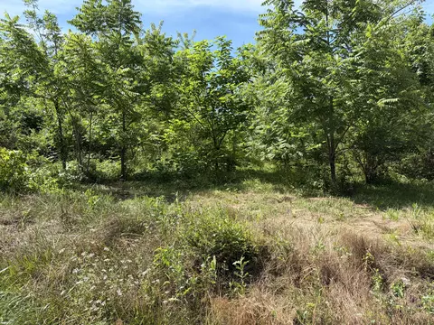 000 Ward St, Birch Tree, MO 65438 photo 7