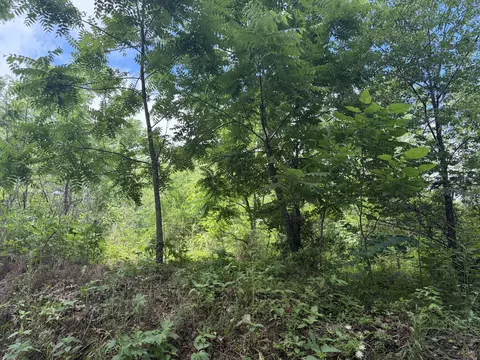 000 Ward St, Birch Tree, MO 65438 photo 10