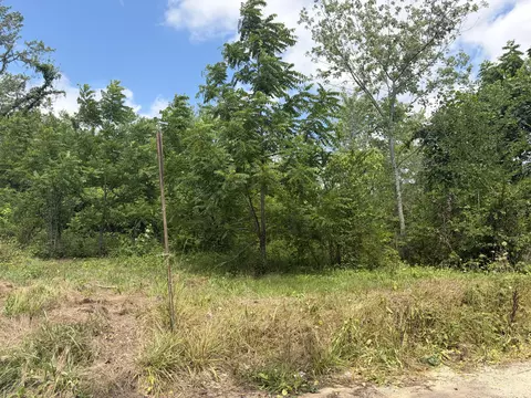 000 Ward St, Birch Tree, MO 65438 photo 6