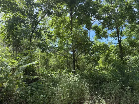 000 Ward St, Birch Tree, MO 65438 photo 8