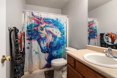 Bath - 472 474 Woodland Dr, Branson, MO 65616 photo 3 of 6