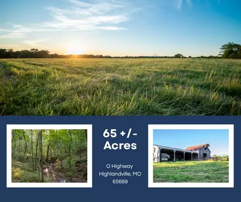 000 State Highway O, Highlandville, MO 65669