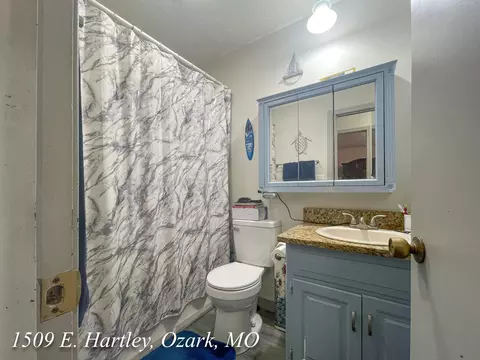 Bath - 1509 E Hartley St, Ozark, MO 65721 photo 3 of 5