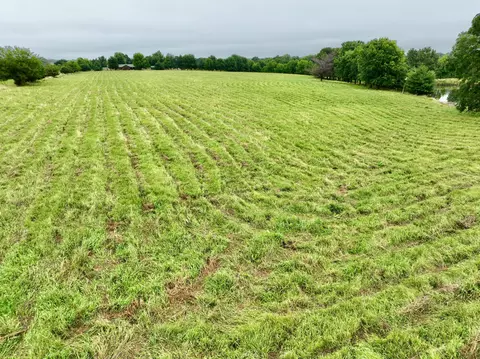 View/Area - 12459 Farm Road 1015, Exeter, MO 65647 photo 10 of 12
