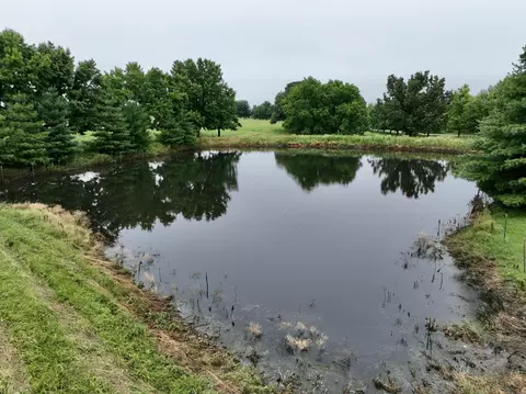 View/Area - 12459 Farm Road 1015, Exeter, MO 65647 photo 9 of 12