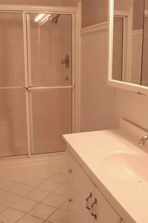 Bath - 267 Dickens Cir, Forsyth, MO 65653 photo 3 of 7