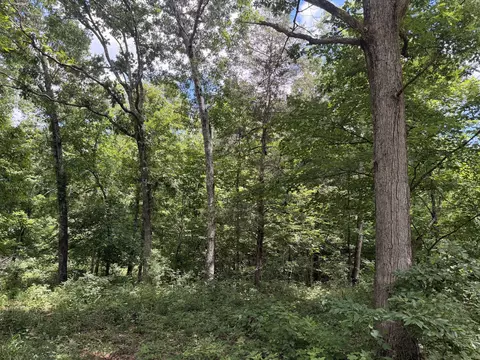 000 Forest Service Rd, Birch Tree, MO 65438