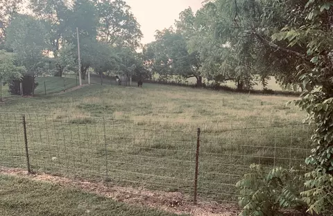 Exterior - 8675 S State Highway 5, Ava, MO 65608 photo 9 of 12