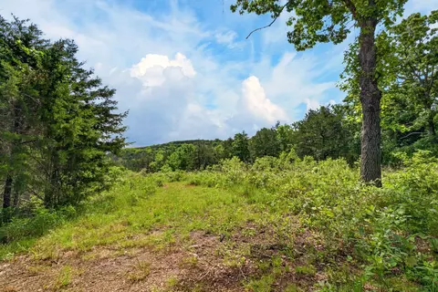 Exterior - 226 Ledgestone Rd, Shell Knob, MO 65747 photo 13 of 13