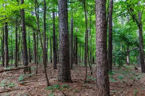000 County Road 1990, Willow Springs, MO 65793