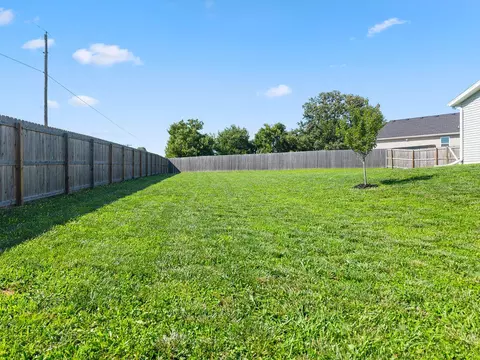 Exterior - 509 N Pine Leaf Rd, Nixa, MO 65714 photo 3 of 7