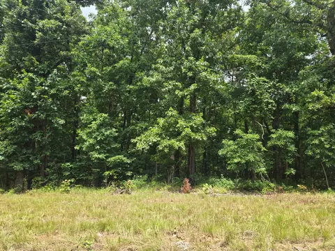001 Muleshoe Trl, Elkland, MO 65644