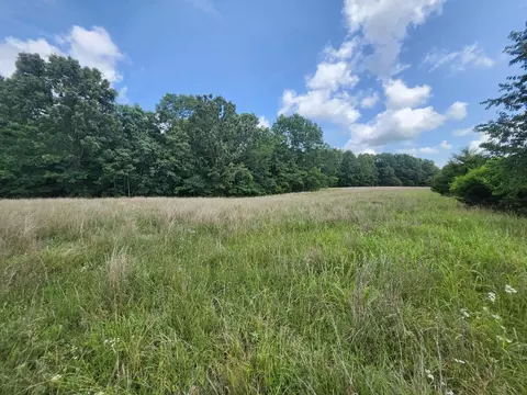 tbd Blackberry Dr, Summersville, MO 65571