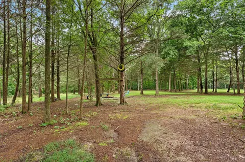 224 Tom Smith Trl, Lampe, MO 65681 photo 28