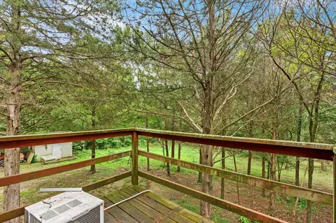 224 Tom Smith Trl, Lampe, MO 65681 photo 6
