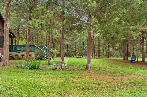 224 Tom Smith Trl, Lampe, MO 65681 photo 15