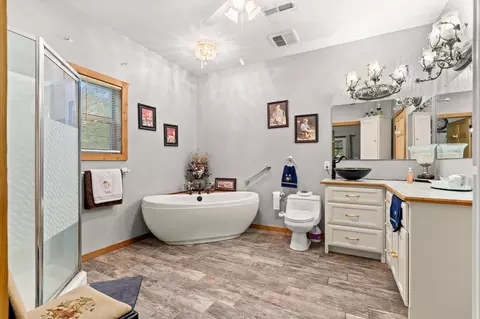 224 Tom Smith Trl, Lampe, MO 65681 photo 12