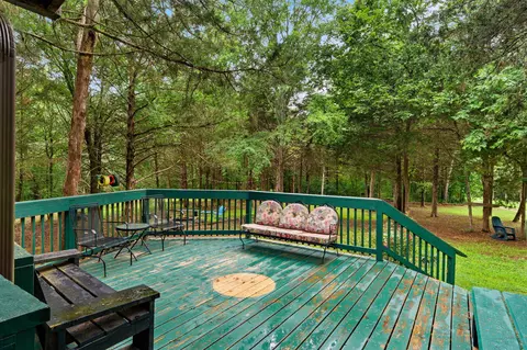 224 Tom Smith Trl, Lampe, MO 65681 photo 24