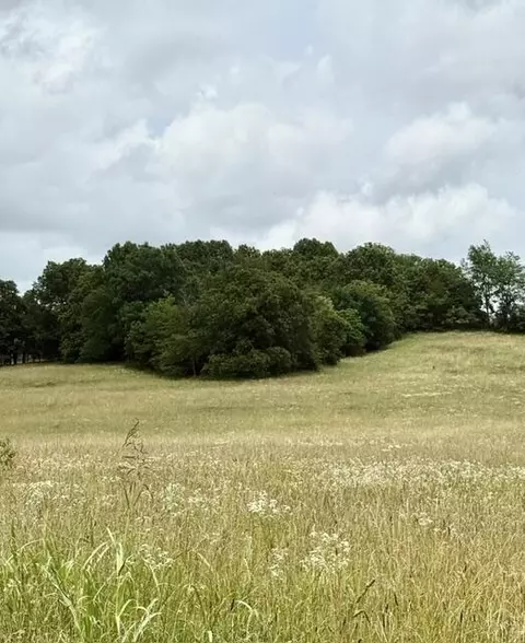 10 2 Acres Stewerd Dr, Fordland, MO 65652
